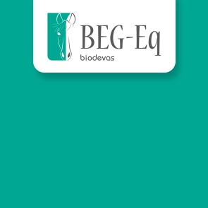 BEG-EQ