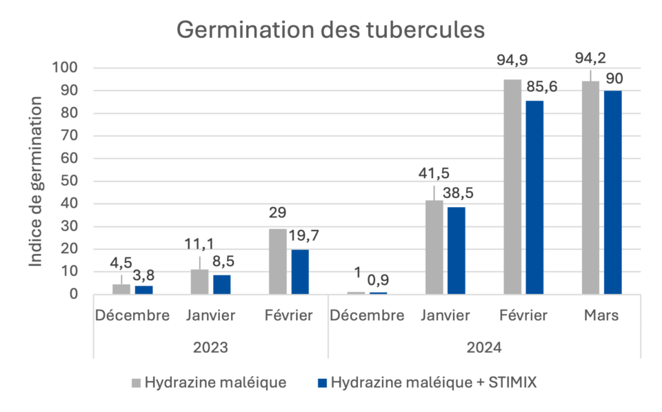 Résultats de germination des tubercules de pommes de terre pour une application d'hydrazide maléique avec ou sans STIMIX